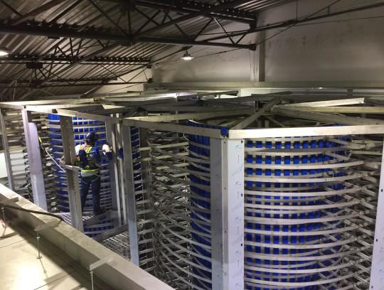 lomax twin drum spiral freezer thailand case study