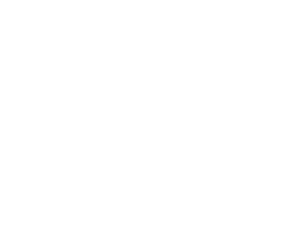 Walls Logo