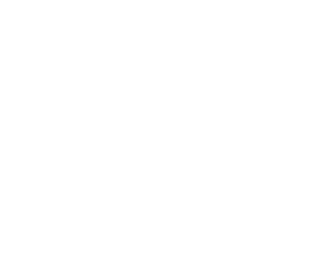 Walls Logo